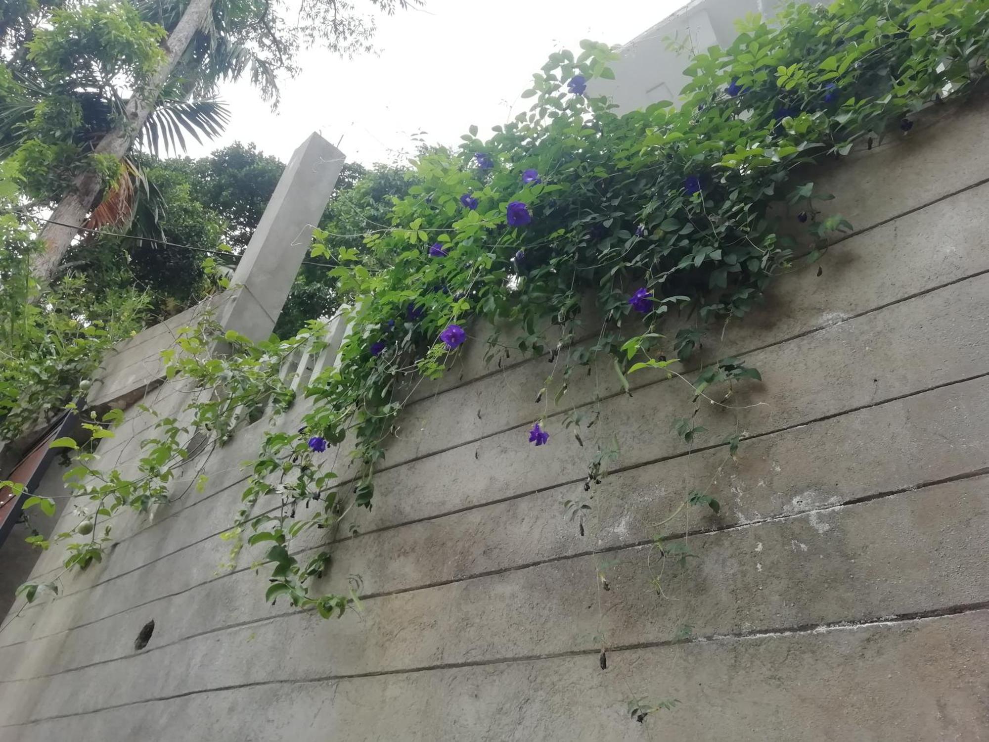 فندق Ella C&D Paradise المظهر الخارجي الصورة