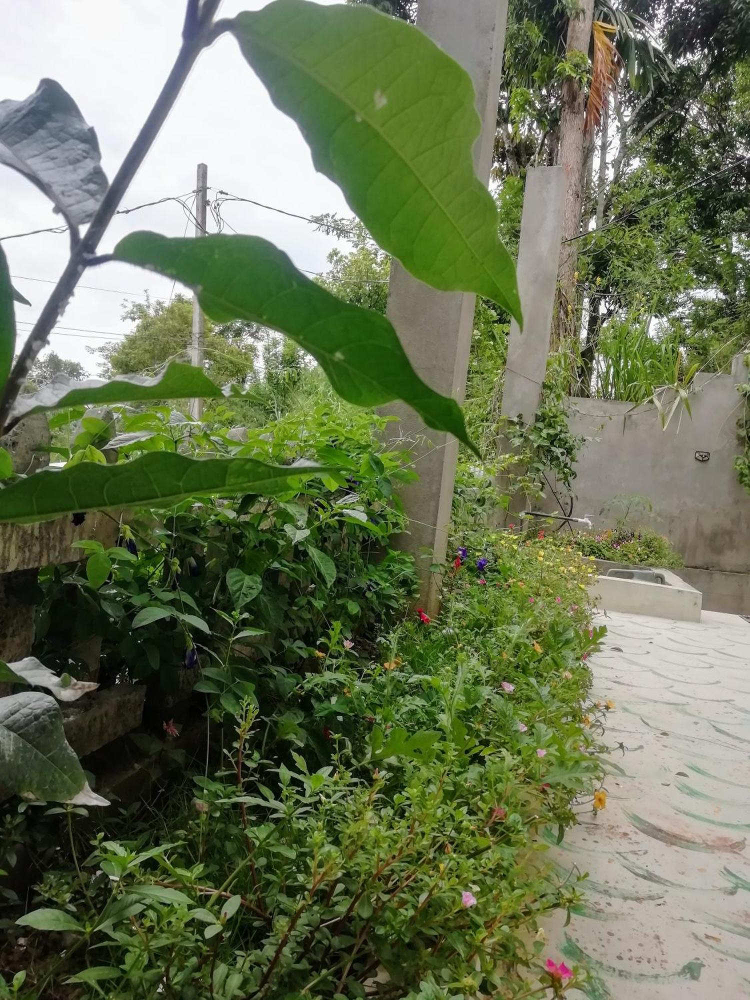 فندق Ella C&D Paradise المظهر الخارجي الصورة