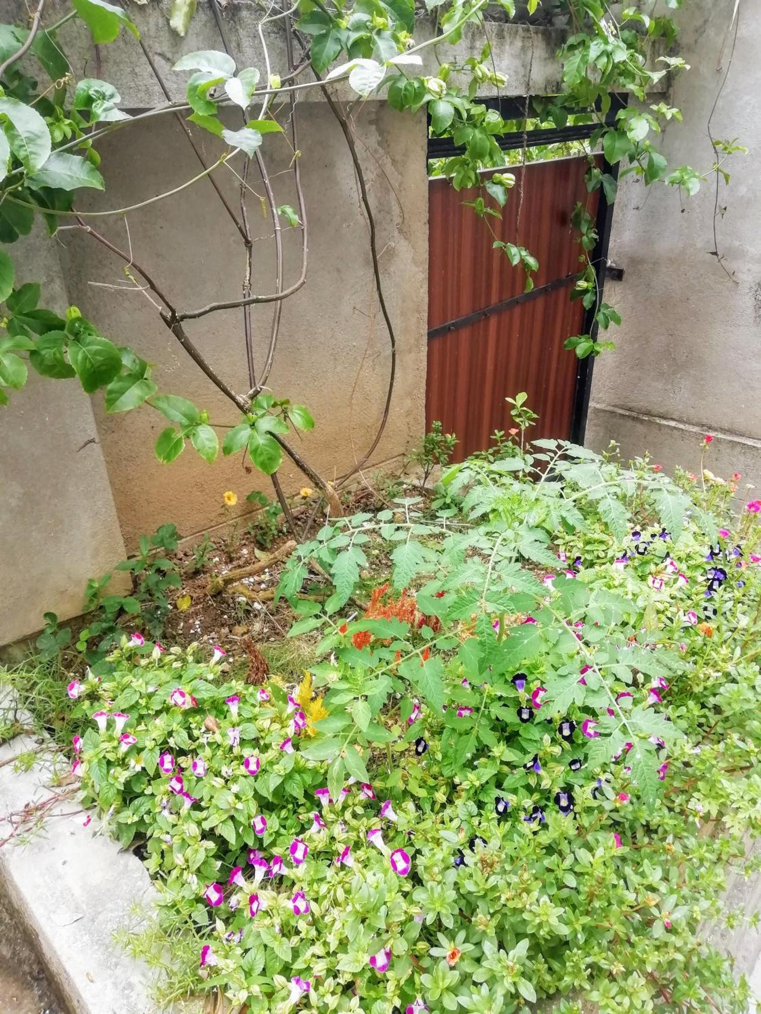 فندق Ella C&D Paradise المظهر الخارجي الصورة